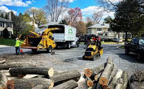 Best Arborist Consultation Services  in Keuka Park, NY