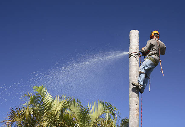 Best Soil Testing and Treatment  in Keuka Park, NY